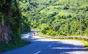 Hoa lau trắng Khe Sanh