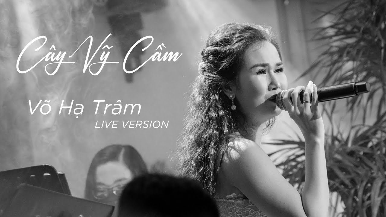CÂY VỸ CẦM