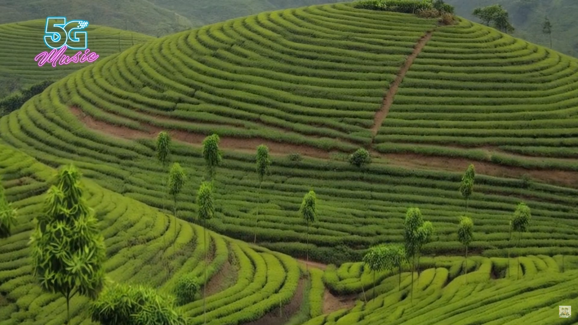 Ví Ghẹo
