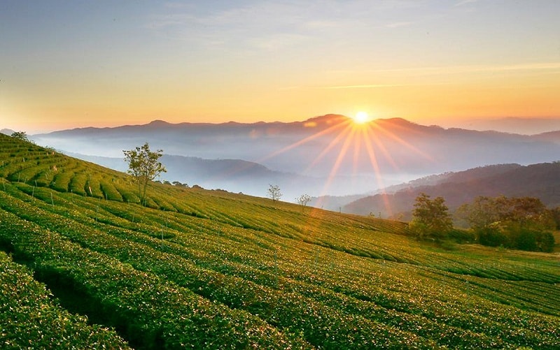 Vì ta đã thấy mặt trời trên Cao Nguyên