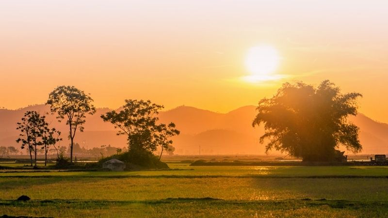 Về đây quê em