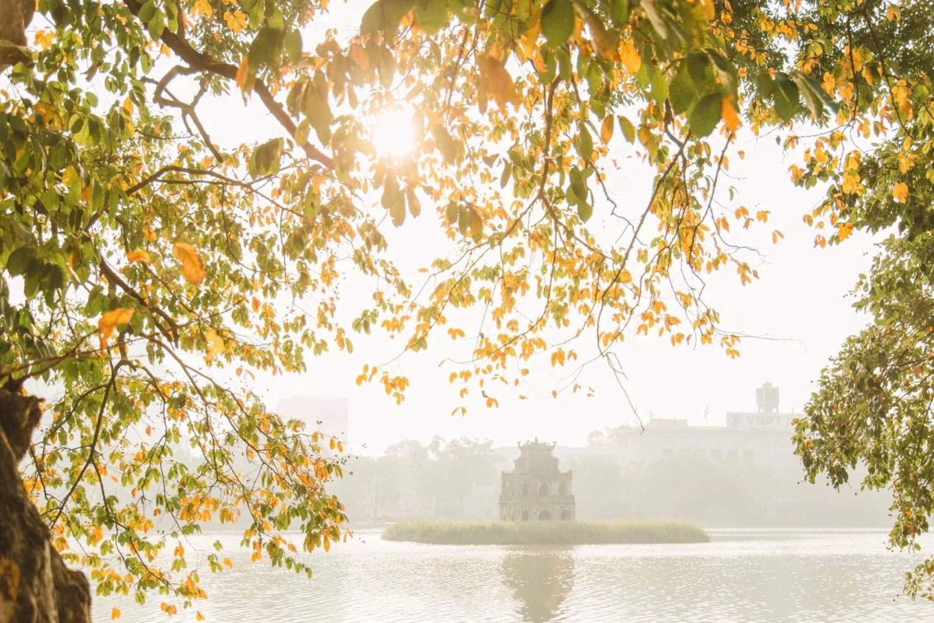 'Nhớ mùa thu Hà Nội' trong âm nhạc Trịnh Công Sơn